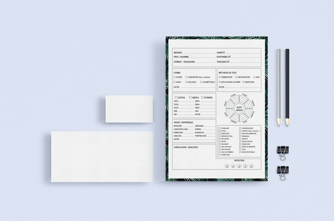 Skabeloner: En Omfattende Guide til Effektiv Bruk